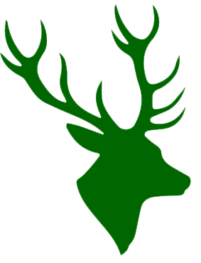 Stag Head